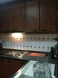 Signature Park (D21), Condominium #499433481